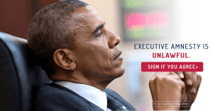 Exec_Amnesty_Unlawful